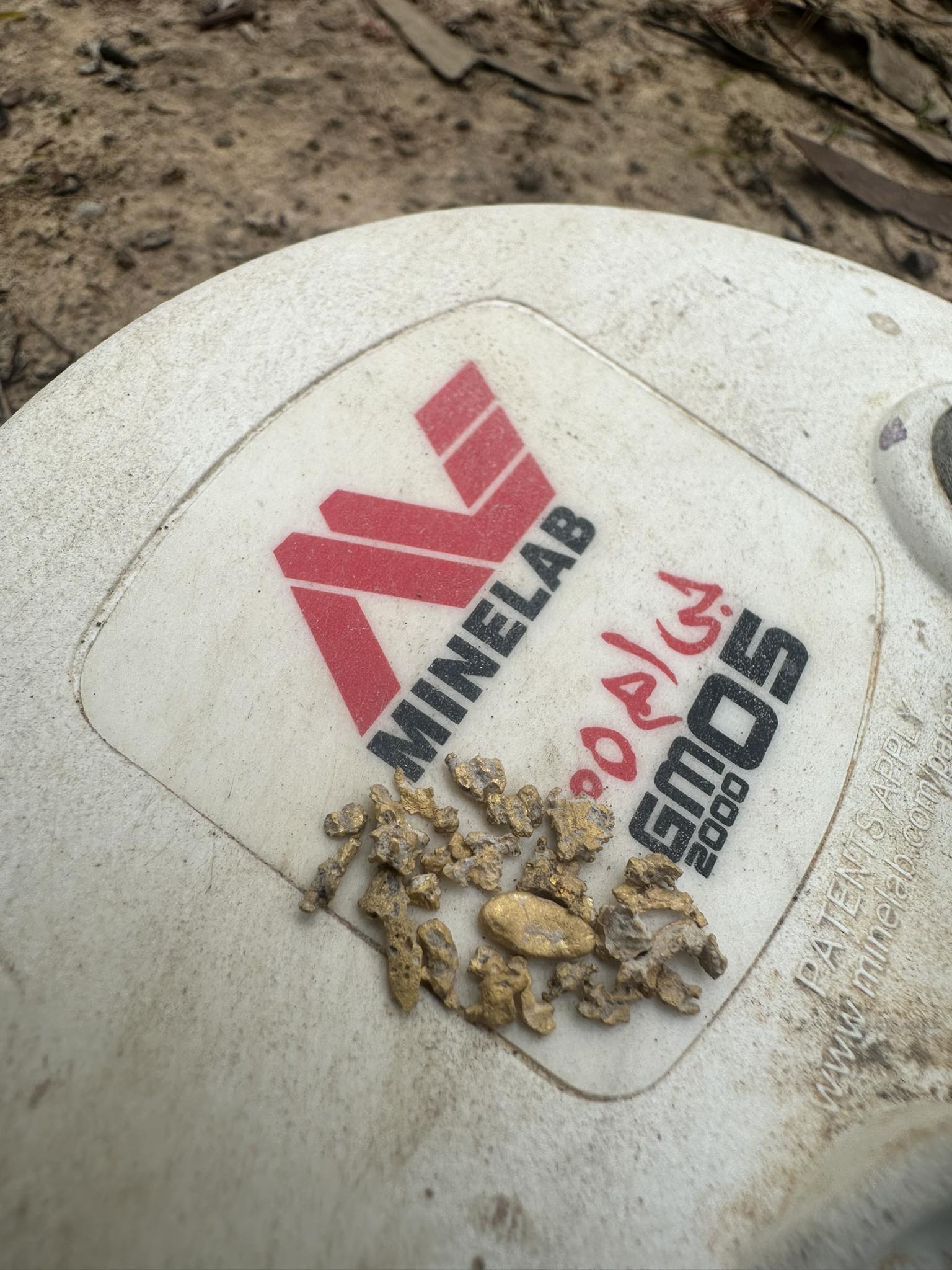 gold nuggets found on the top of coil